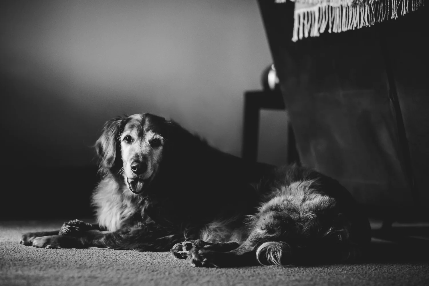 san clemente photographer