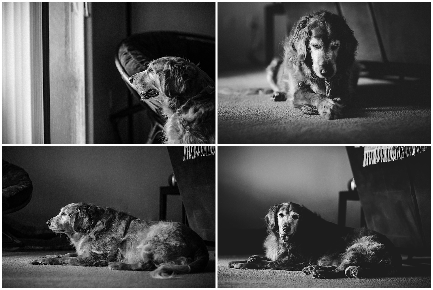 san clemente family photographer