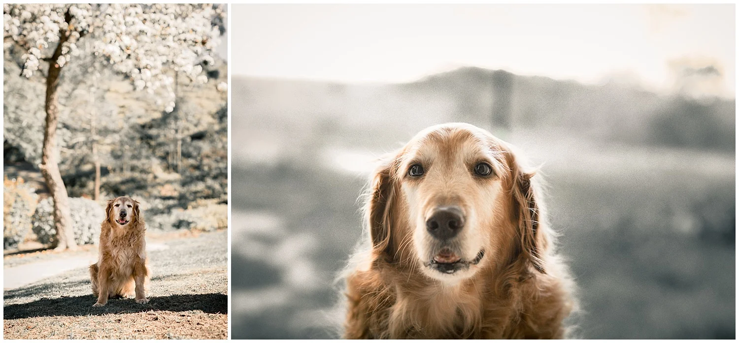 san clemente family photographer