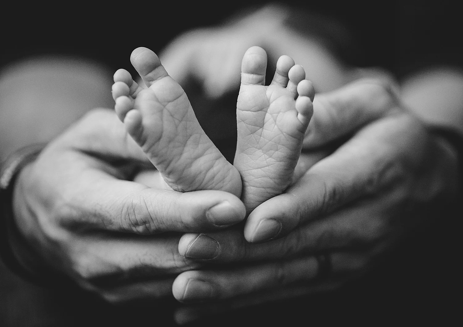 orange county lifestyle newborn photographer