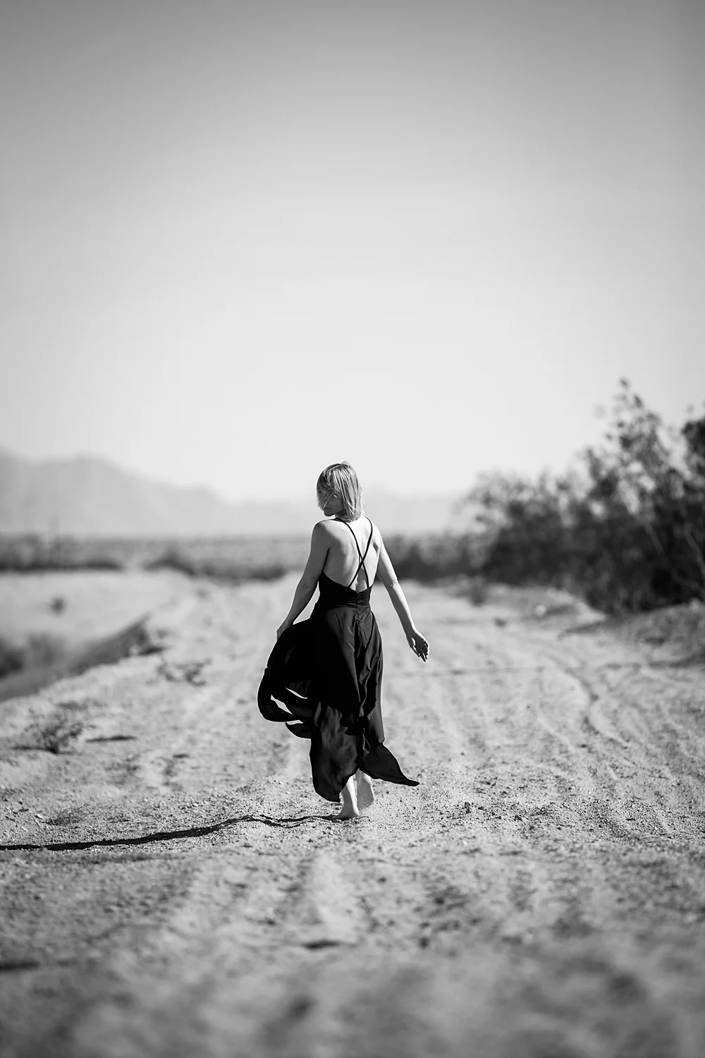 midday photography, joshua tree photographer