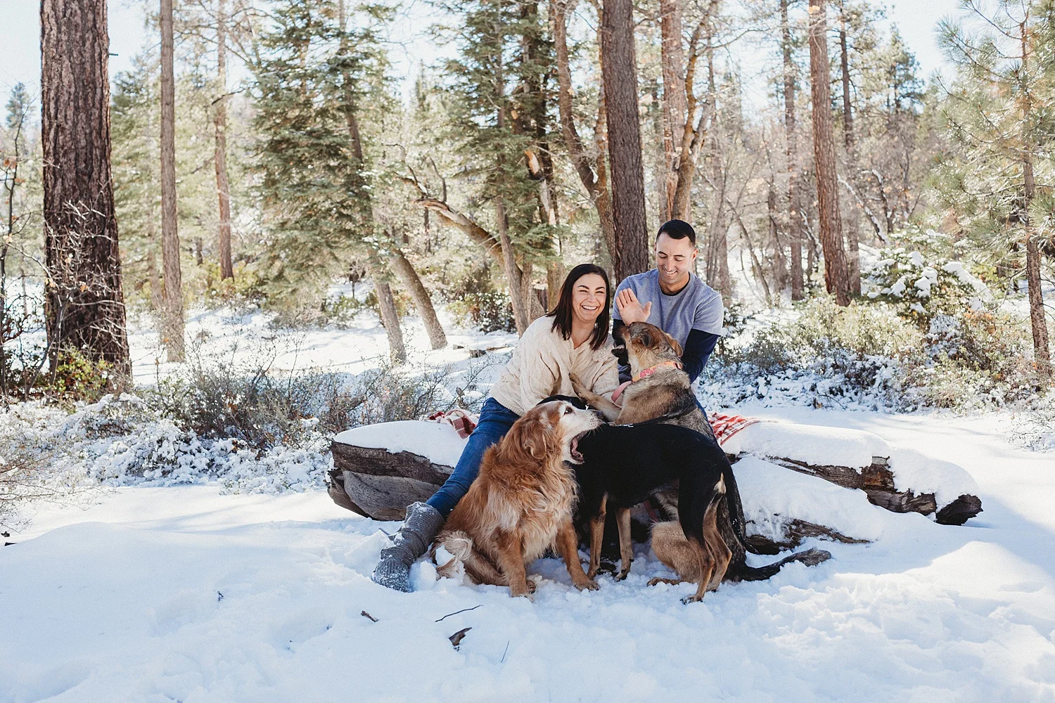 big bear family photographer