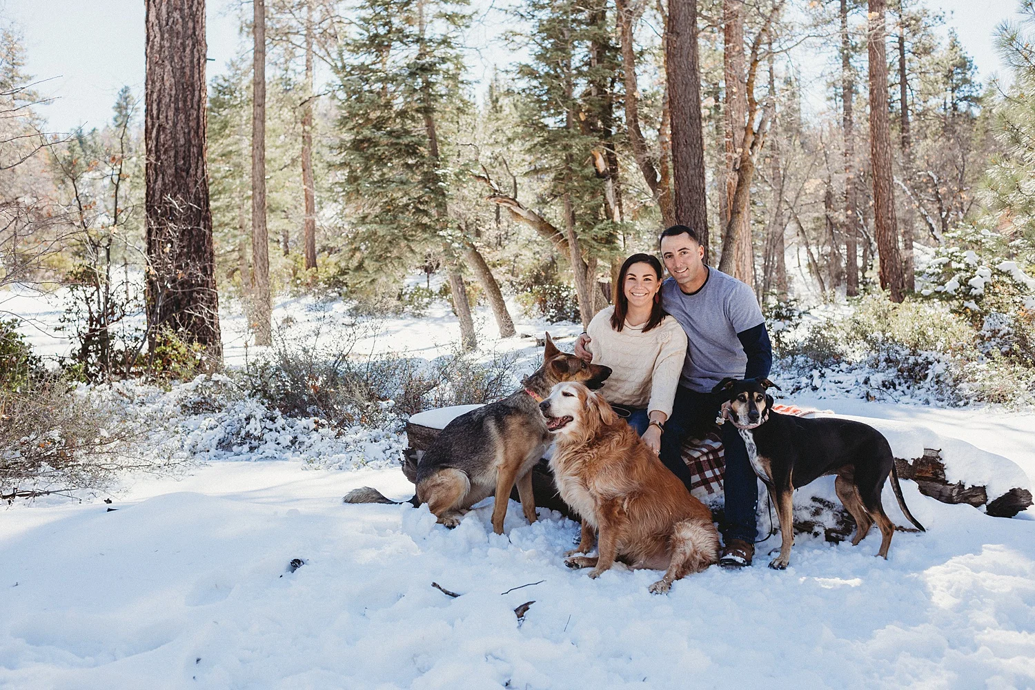 big bear family photographer