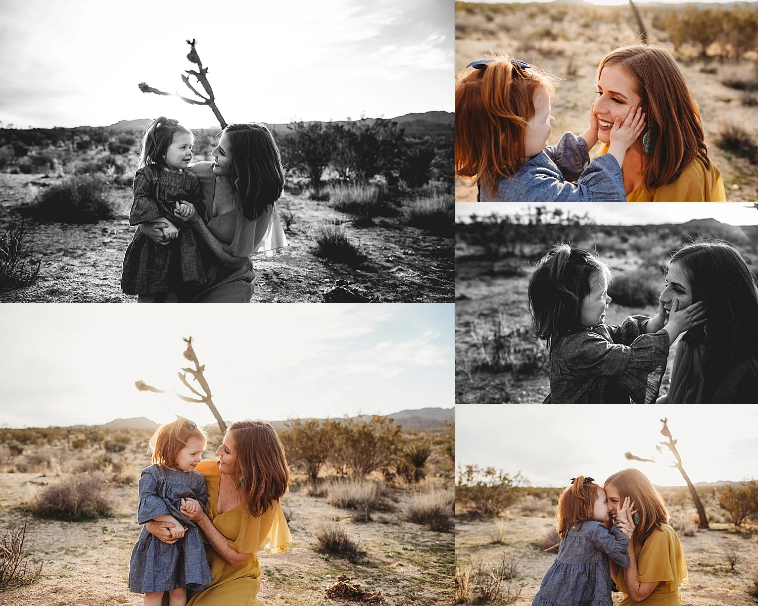 family photographer joshua tree