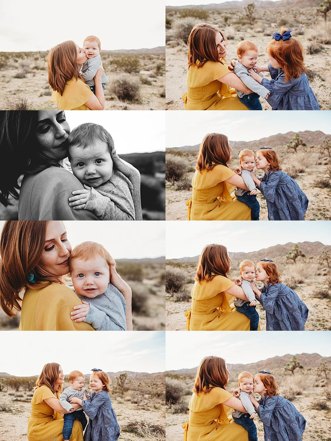 family photographer joshua tree