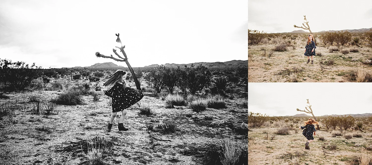 family photographer joshua tree