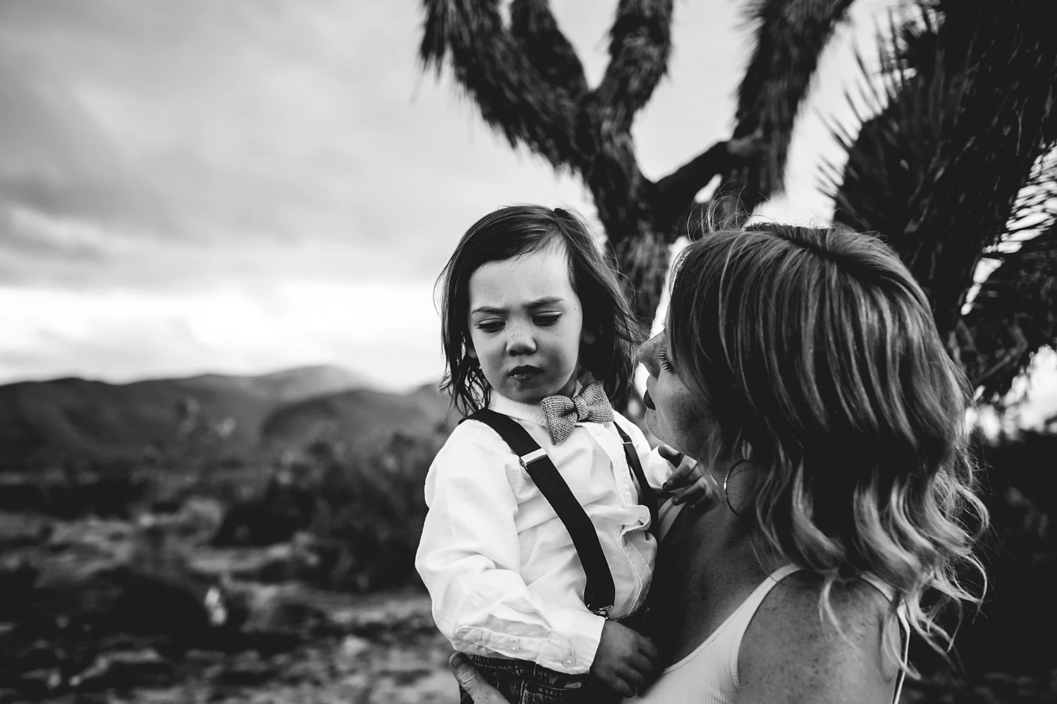family photographer joshua tree