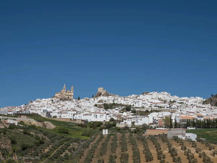 A pueblo blanco in Andalusia, Spain