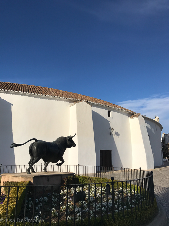 Plaza de Toros in Ronda, Spain