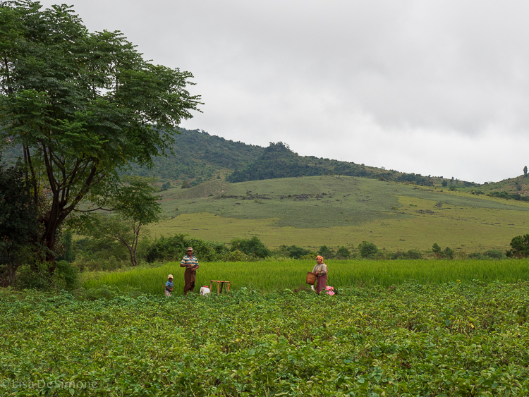 Myanmar blog-73.jpg