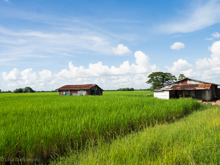 Myanmar blog-24.jpg