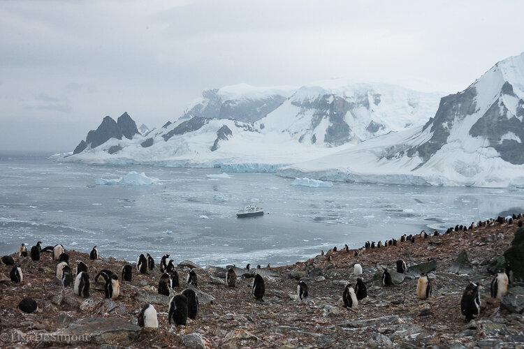 Antarctica_2020-91.jpg