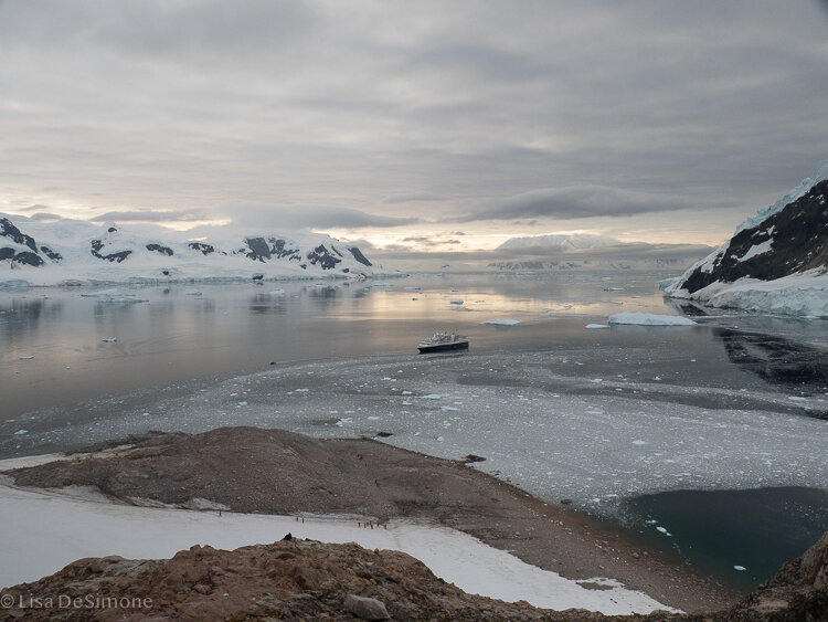 Antarctica_2020-85.jpg