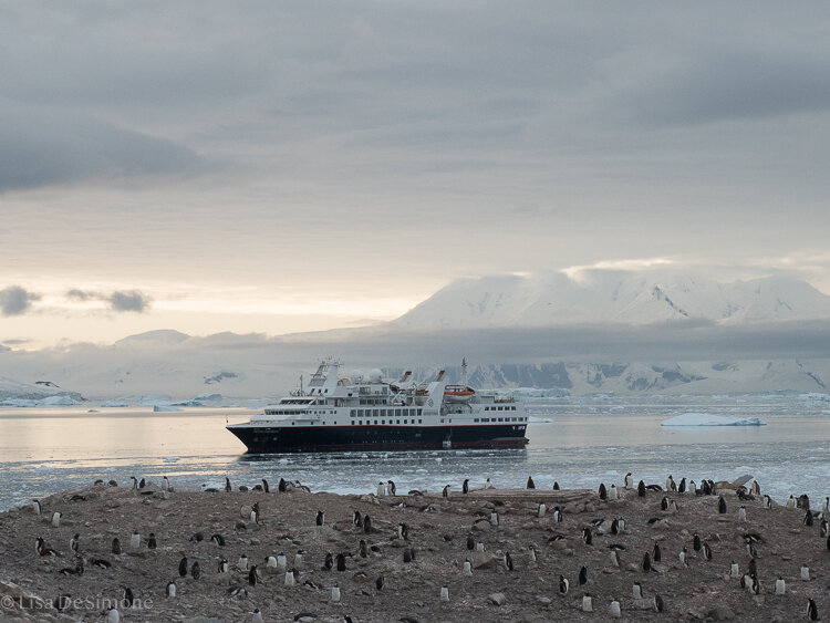 Antarctica_2020-82.jpg