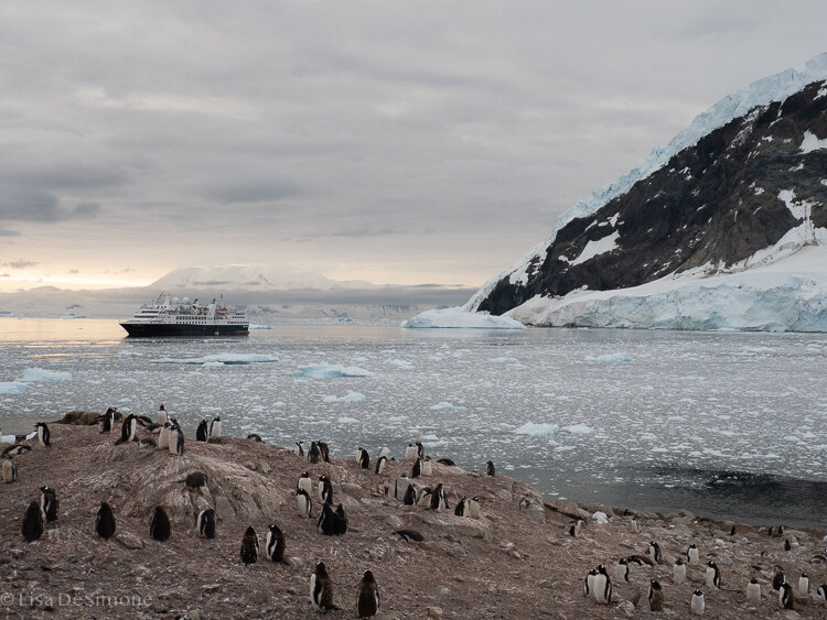 Antarctica_2020-80.jpg