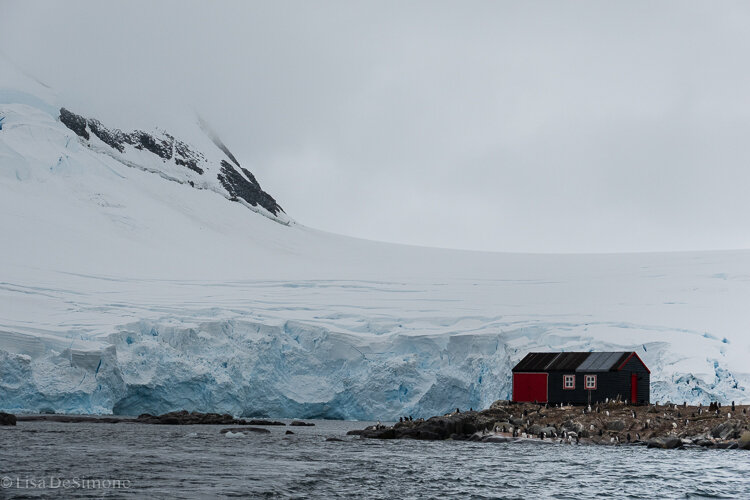 Antarctica_2020-72.jpg