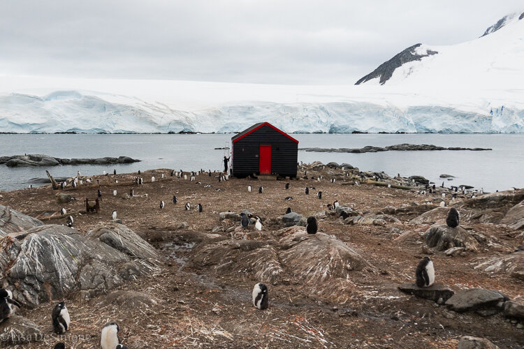 Antarctica_2020-70.jpg