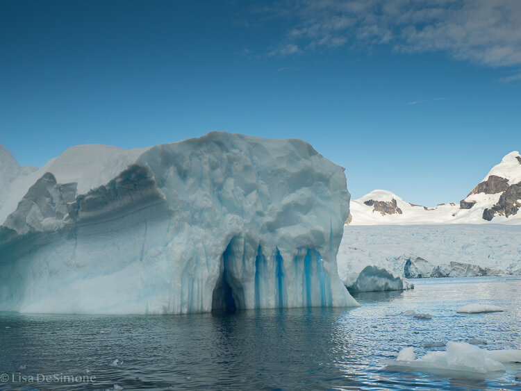 Antarctica_2020-67.jpg