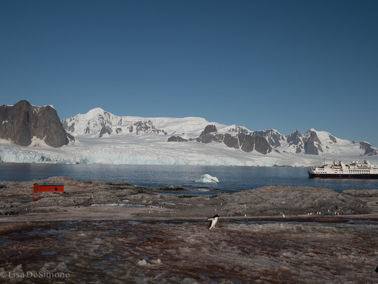 Antarctica_2020-44.jpg