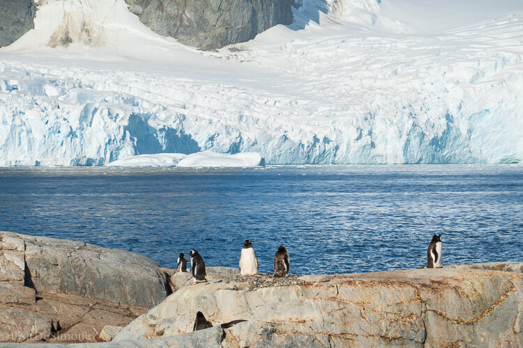 Antarctica_2020-37.jpg