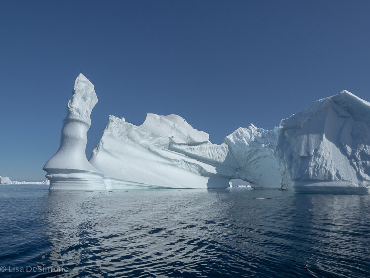 Antarctica_2020-29.jpg