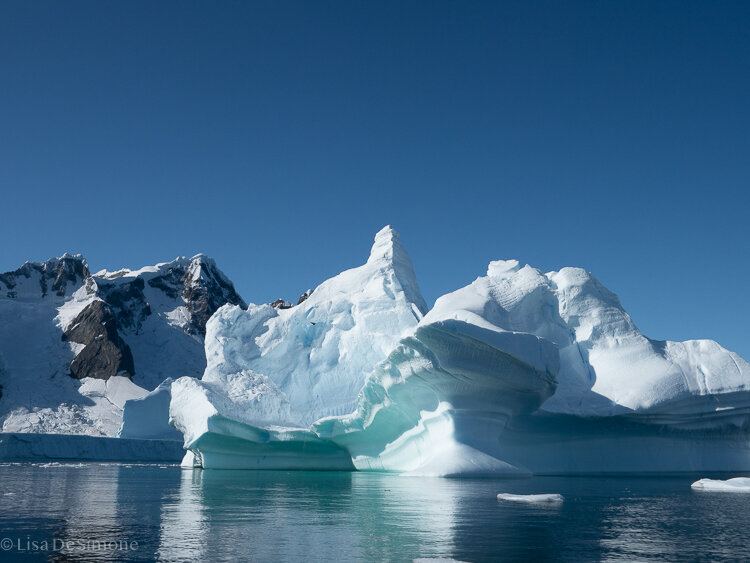 Antarctica_2020-27.jpg