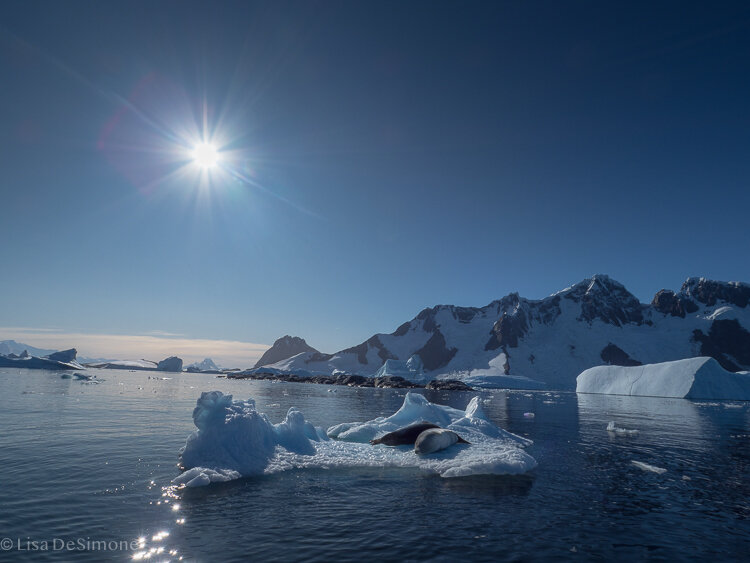 Antarctica_2020-24.jpg