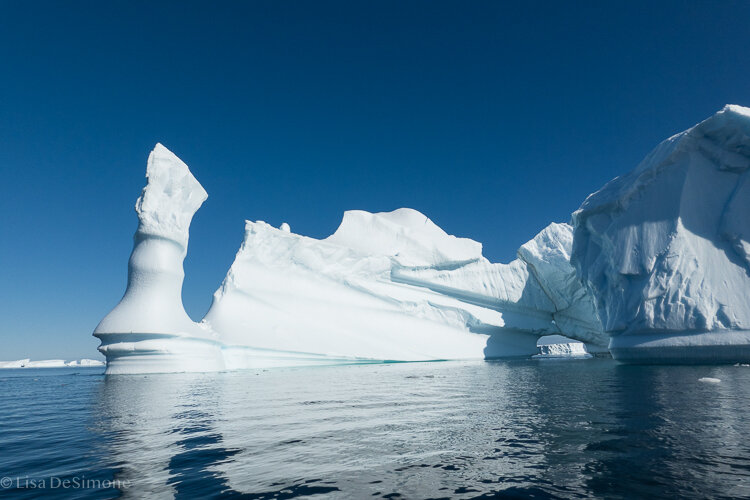 Antarctica_2020-20.jpg