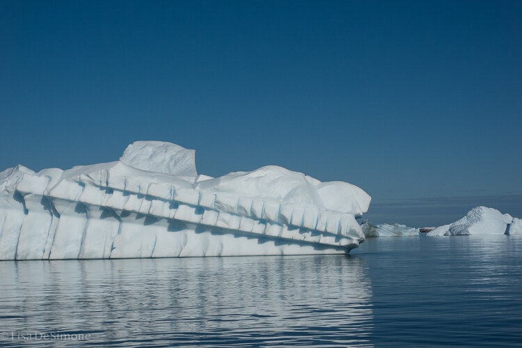 Antarctica_2020-8.jpg