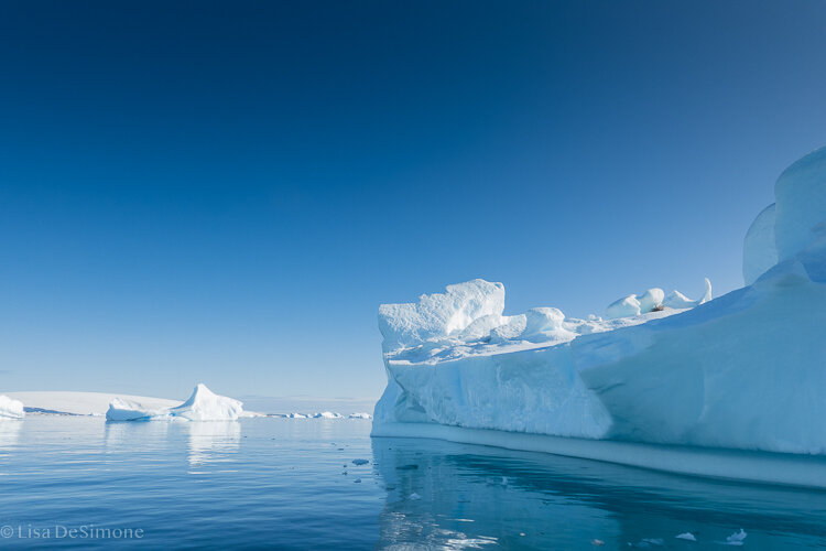 Antarctica_2020-7.jpg