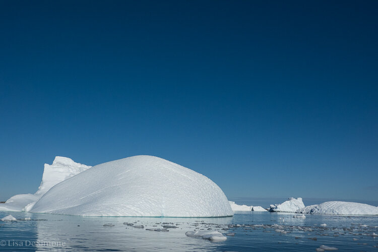 Antarctica_2020-5.jpg
