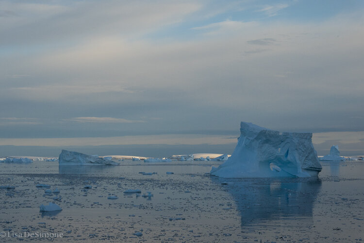 Antarctica_2020-3.jpg
