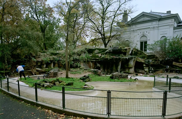 Romeo Gongora, Magistra Artis Natura (MAN) (2008)