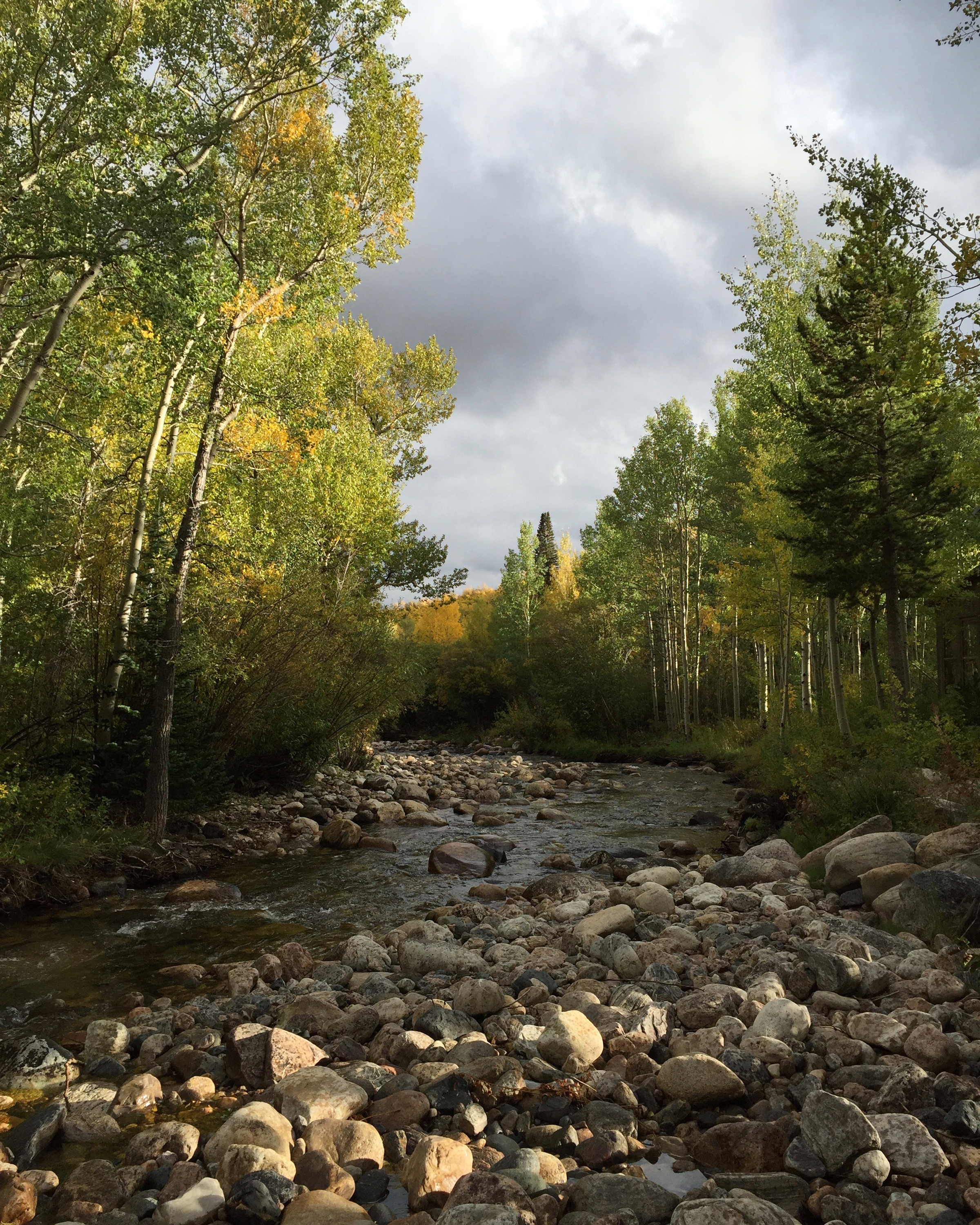 Creek-Poster_printfile_default_16x20.png