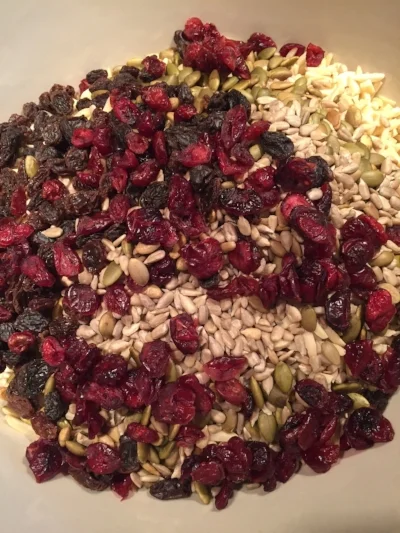 Threw all the nuts, seeds, and fruit on top of there
