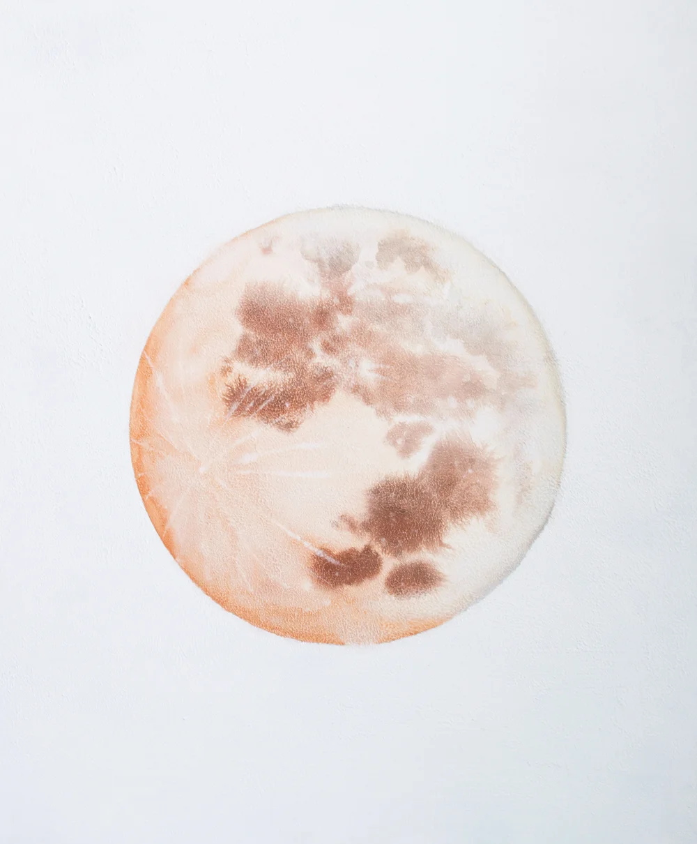 Selenelion+Moon+(1+of+1).jpg