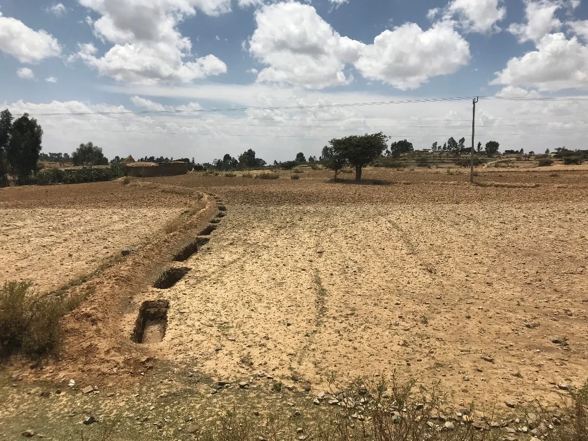 Trenches on the land collect run off, decreasing flooding and recharging the groundwater.