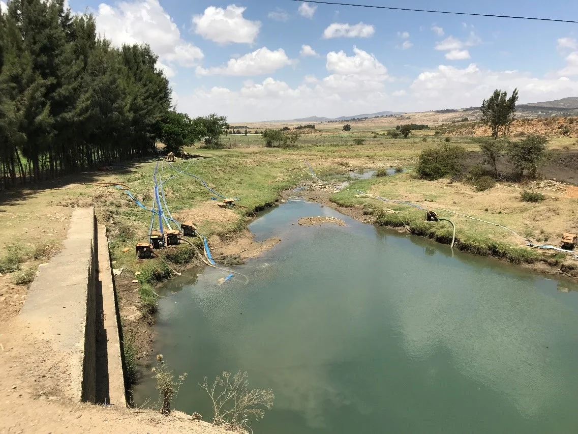 A pond filled by a nearby dam supplies water for farmer-installed irrigation pumps.