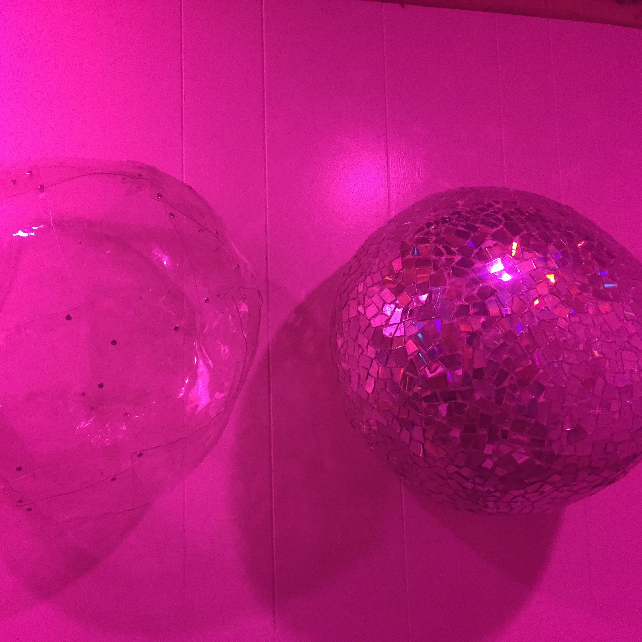 disco and shell 