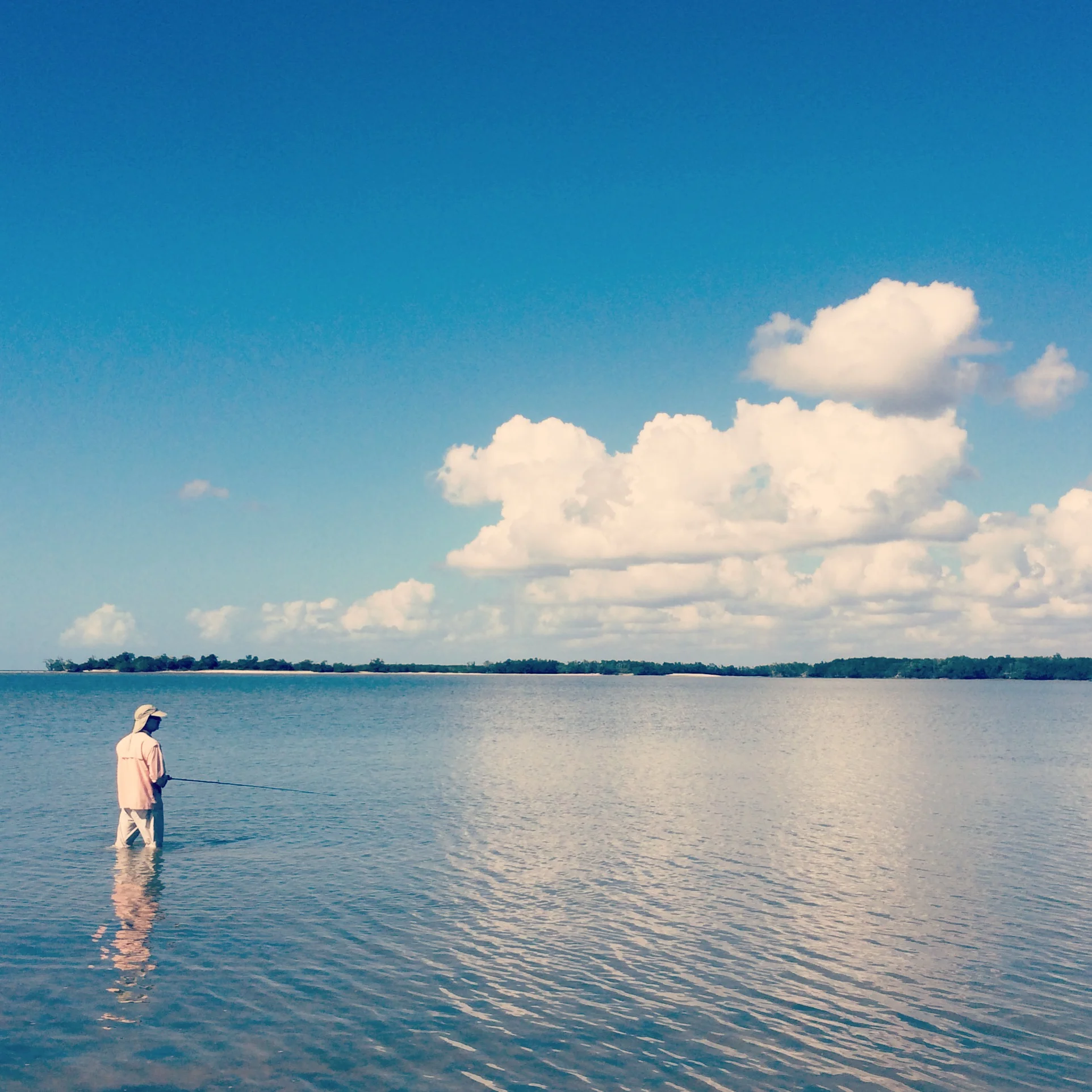 everglades.JPG