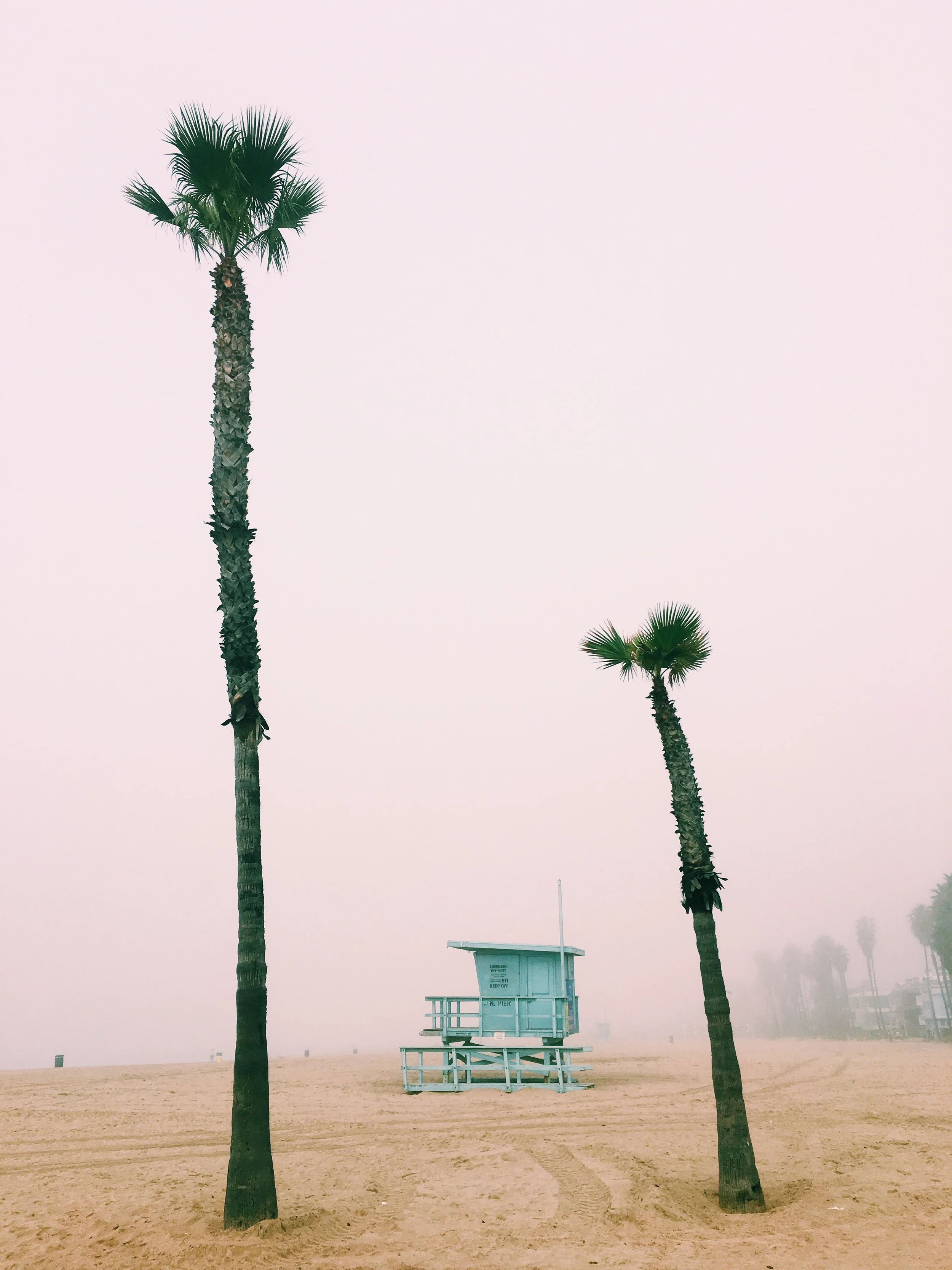 Venice Fog.jpg
