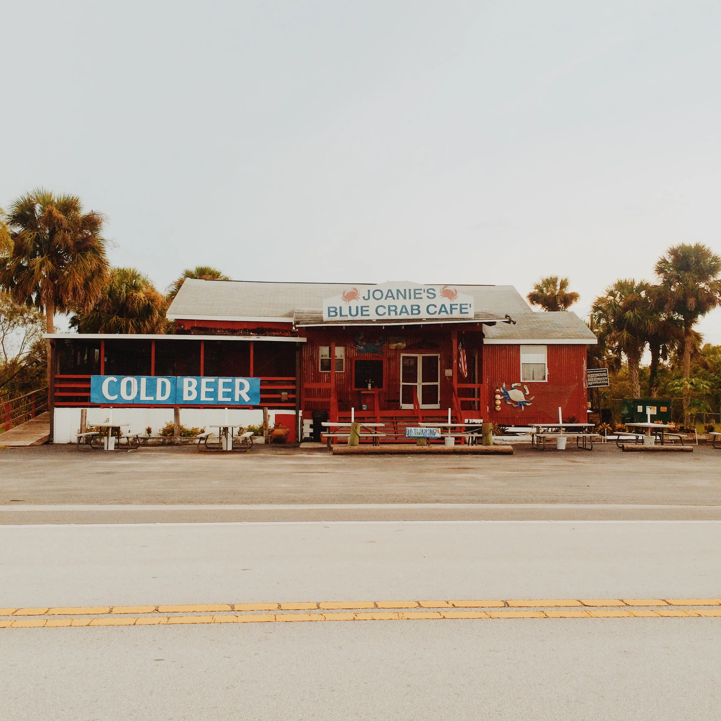 Blue Crabs.JPG