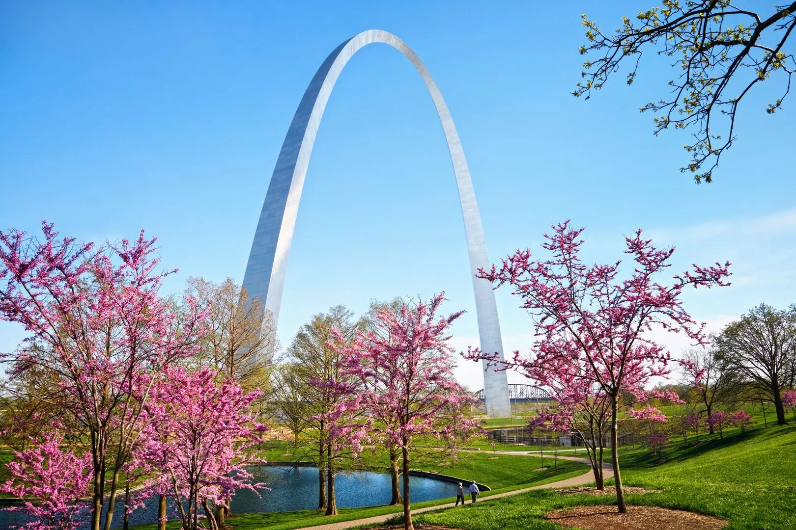 Large-Arch redbuds horizontal with people- Debbie Franke.jpg