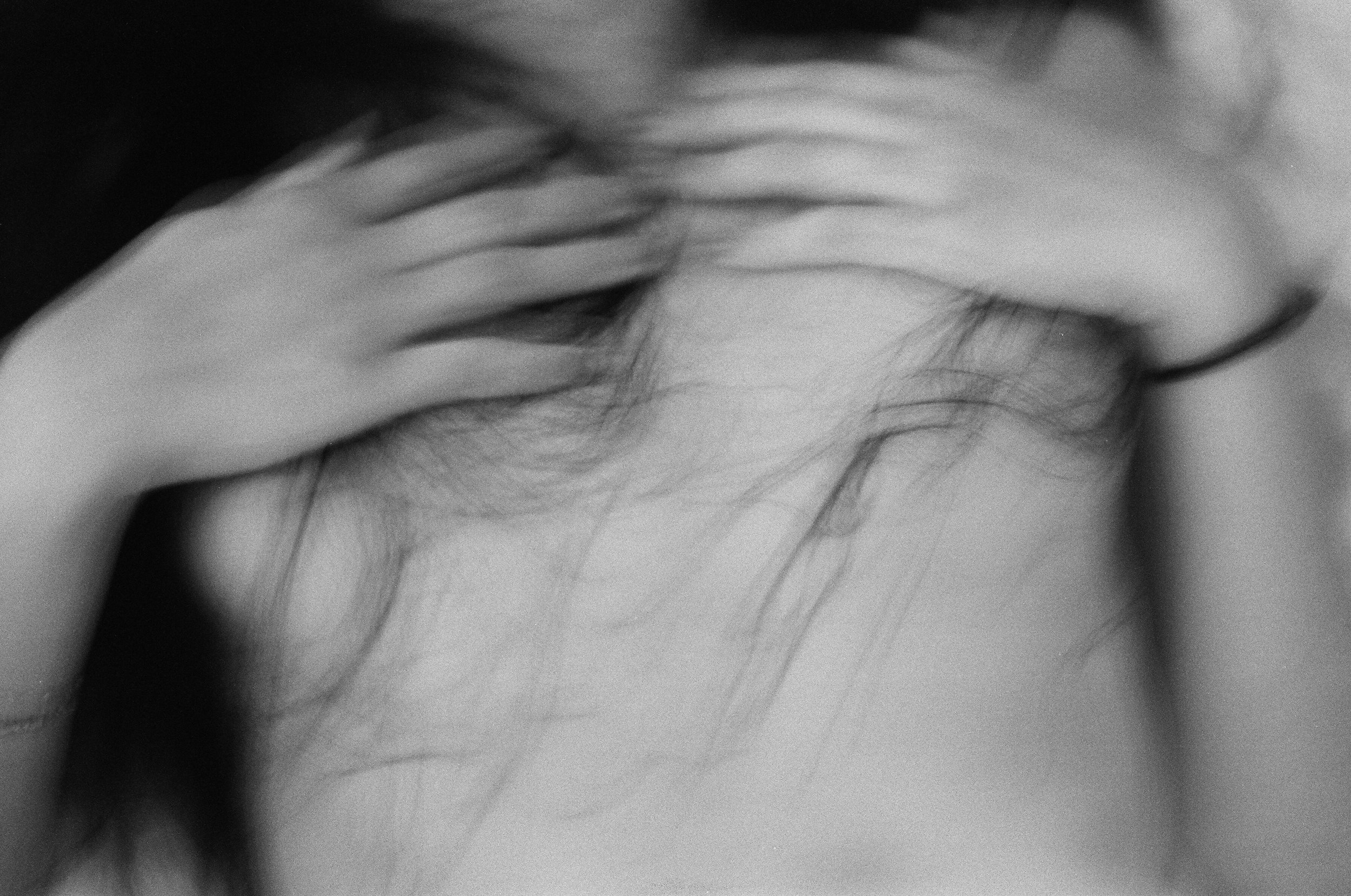 08870031.JPG