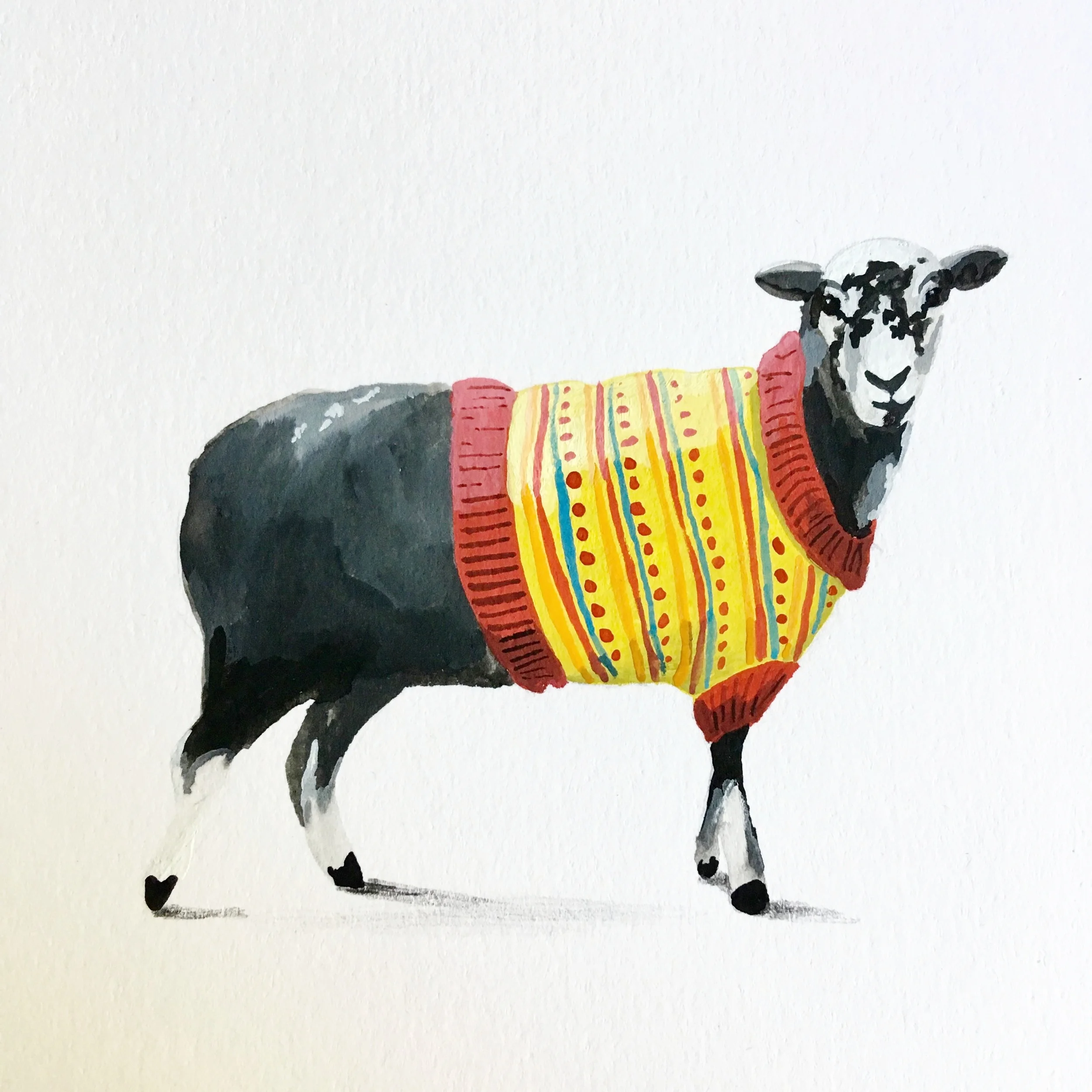 Woolly for Ewe