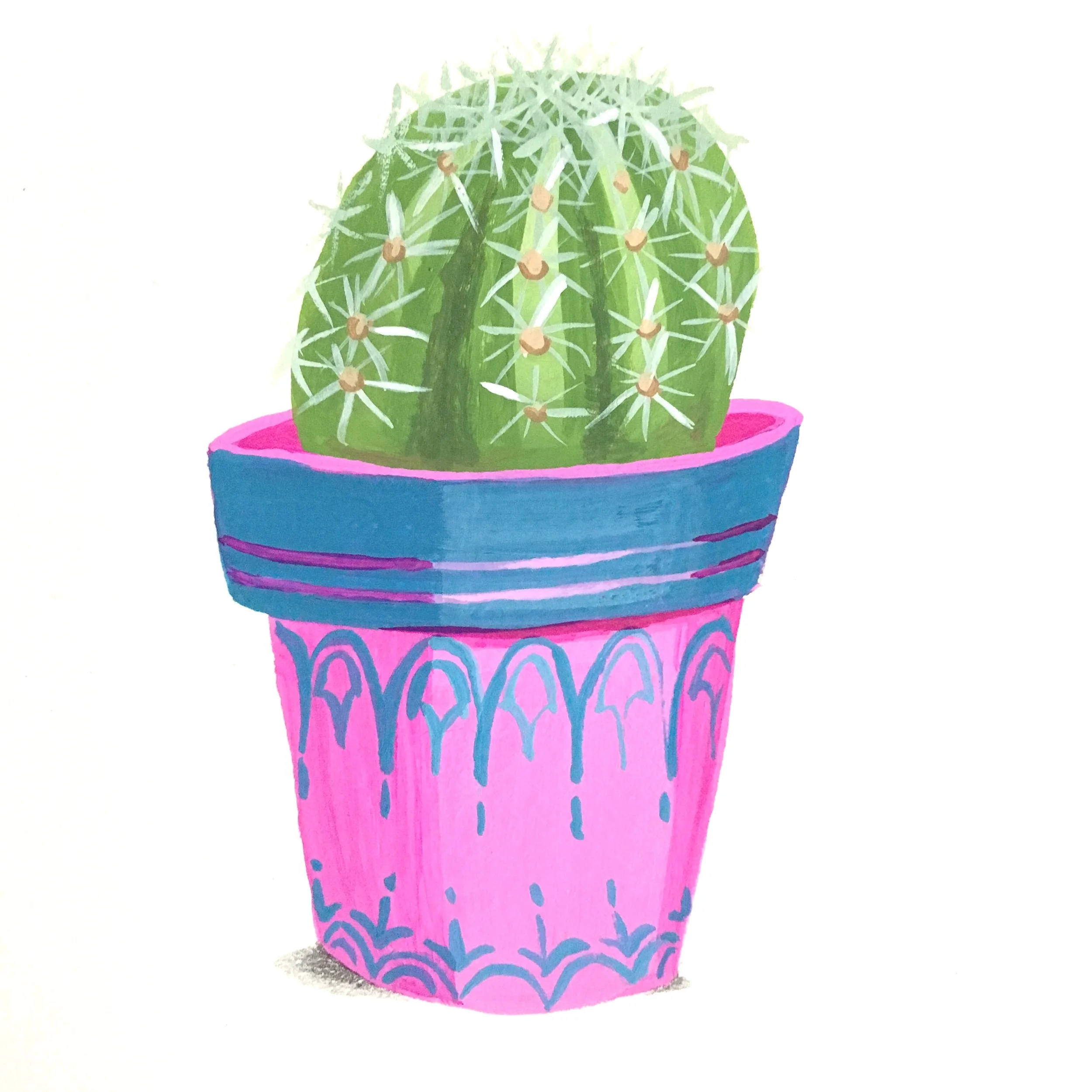Magenta and the Cactus