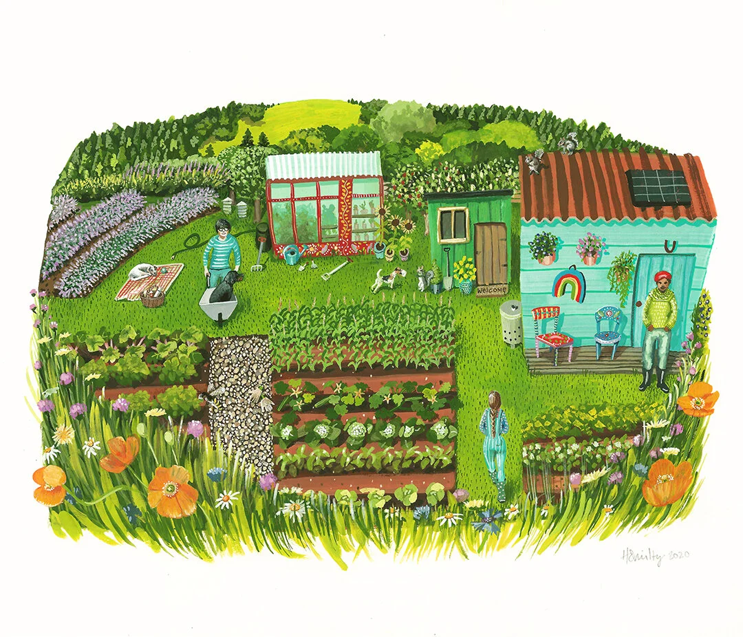 The allotmentWeb.jpg