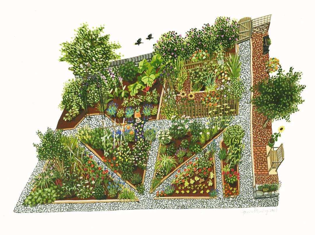 The Vegetable Garden