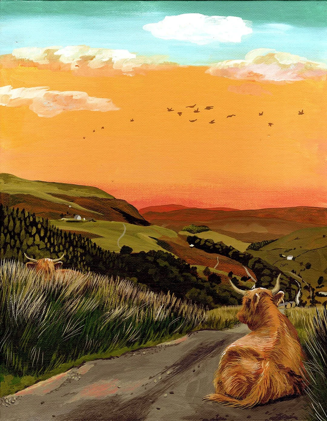 Highland Cow and the Sunset