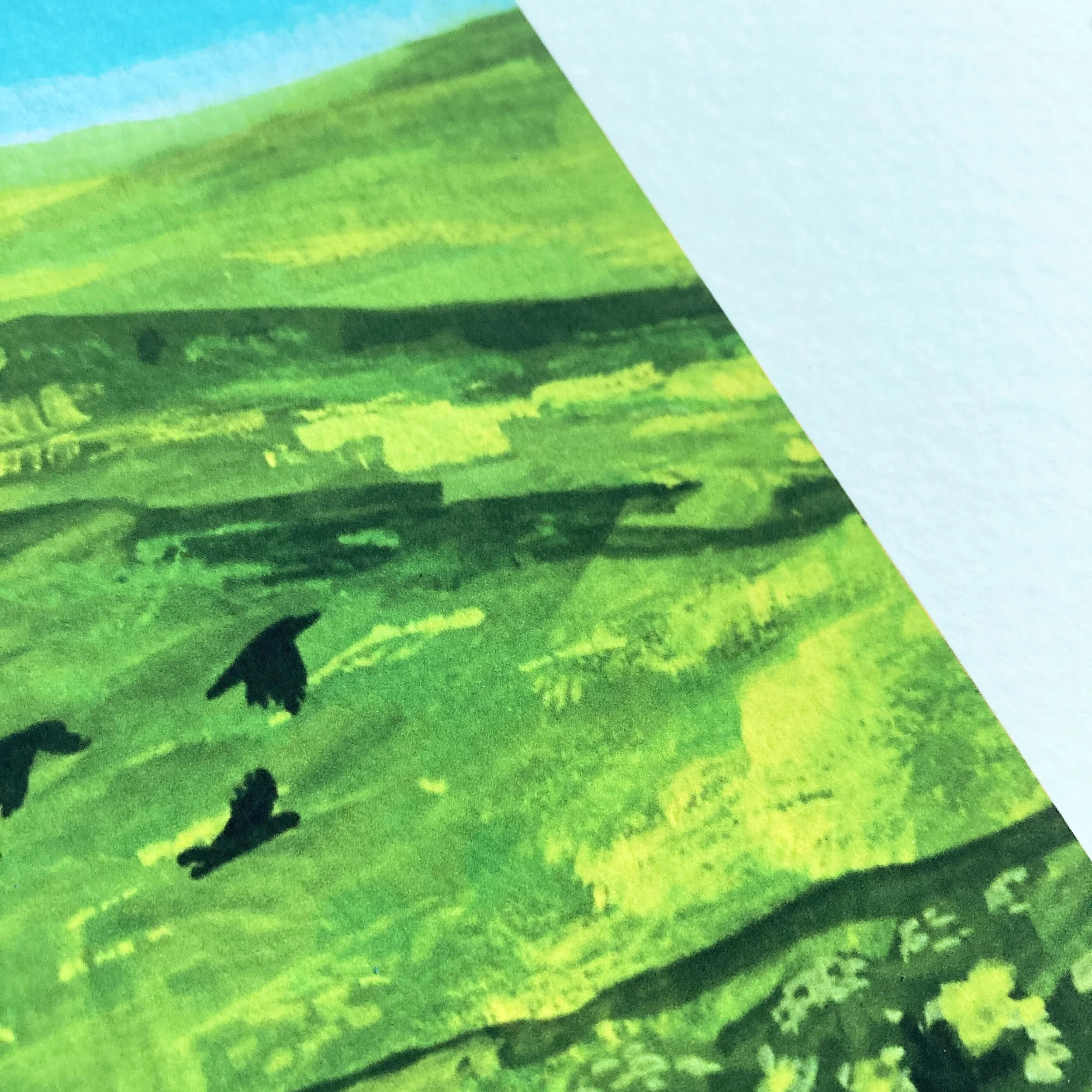 Ewes on the Loose, signed, limited edition Giclée Print